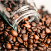 Kopi Purbalingga