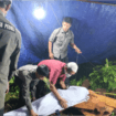 Peduli : RPP saat melakukan pemakaman jenazah B20 Sabtu kemarin